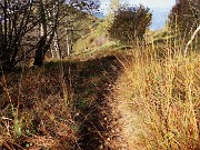 Alla Madonnina del Costone (1195 m) in veste autunnale da Salmezza-21ott24 - FOTOGALLERY